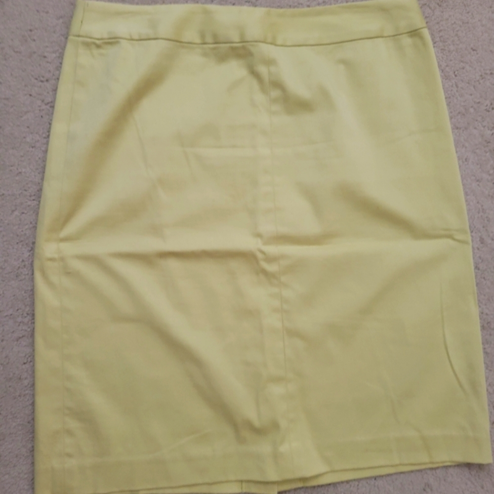 Casual Corner skirt ( closet clean out)